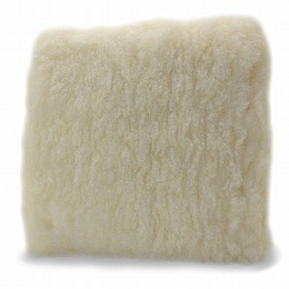 �� ��� ������ ������ ���� Adam's 10" Car Wash Pad