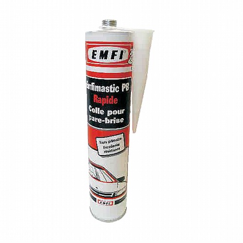 ������ ���� ������ �����  EMFI