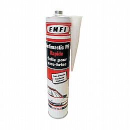 ������ ���� ������ �����  EMFI
