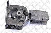 ����� ���� ������ �����