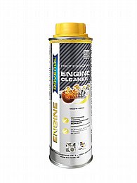 ���� ������ ���� (����) RAVENOL Professional Engine Cleaner