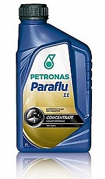 ���� ����� ���� PARAFLU