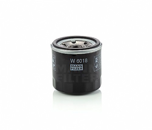 W 6018