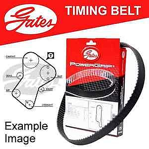 ����� ������� ���� GATES