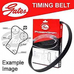 ����� ������� ���� GATES