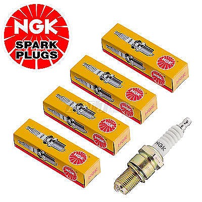 �� ����� ���� NGK 