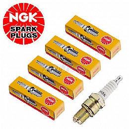 �� ����� ���� NGK 