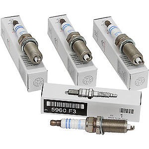 �� ����� ����� ���'�/�������