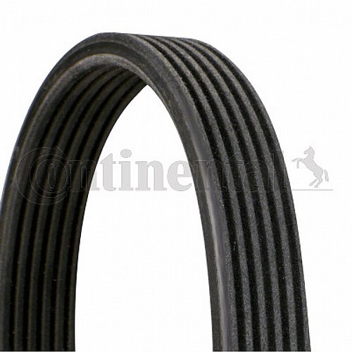 ����� 6DPK1195 ����� ���� CONTINENTAL