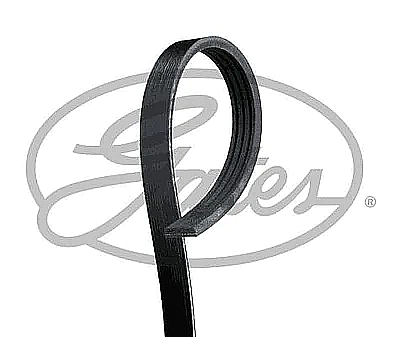 �����  GATES 6PK900