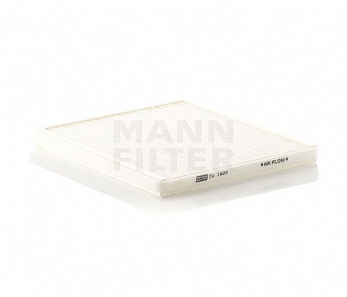 ����� ���� ���� MANN (����� �� ��� 2002)